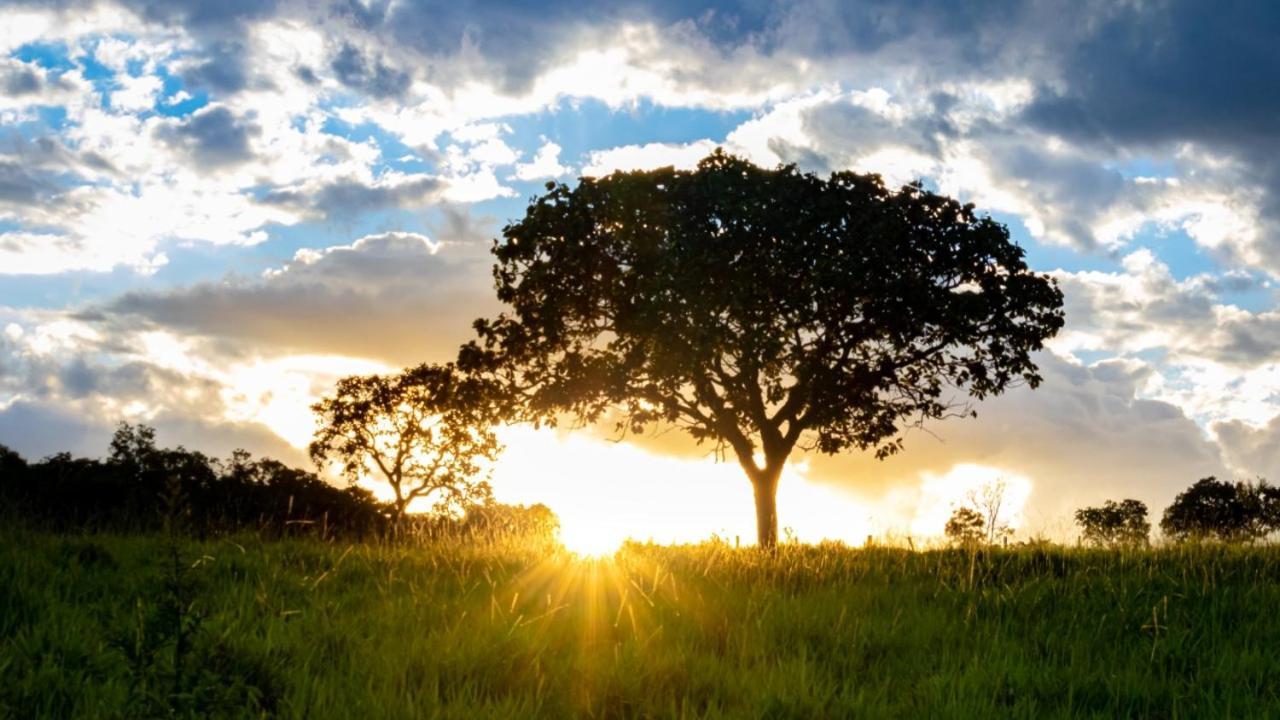 Fazenda Taruma Пиренополис Экстерьер фото